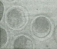 如何提高一胎母猪采食量,母猪产后饲喂量怎么掌握