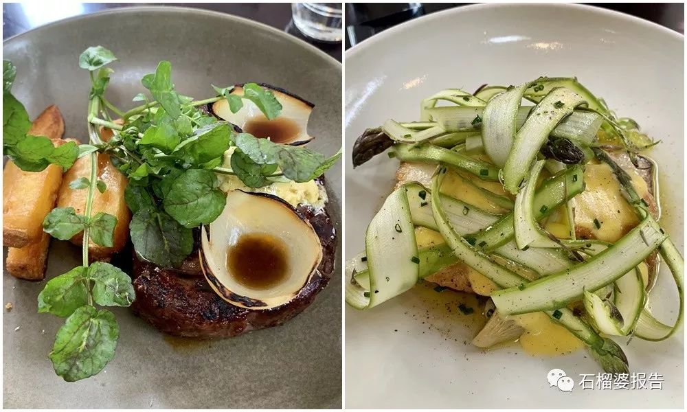 旅行7天,新西兰霍比特人村游记