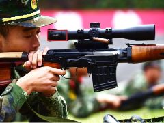 85式狙击步枪和svd区别,svd和85狙的区别