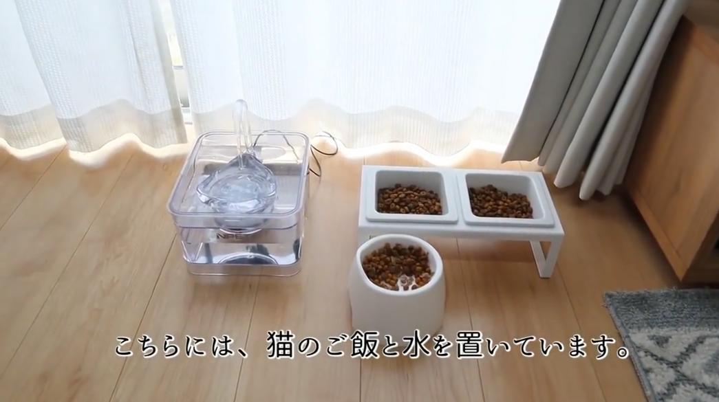 1屋2人3猫，她家是日式收纳美学典范！还有猫咪专用房，吸粉80万