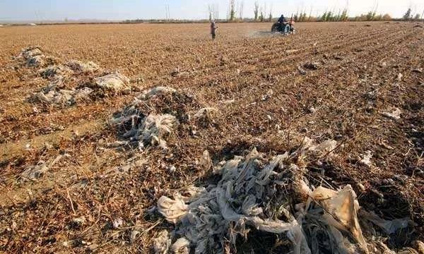 农膜增产,种植农膜为你的农作物保驾护航