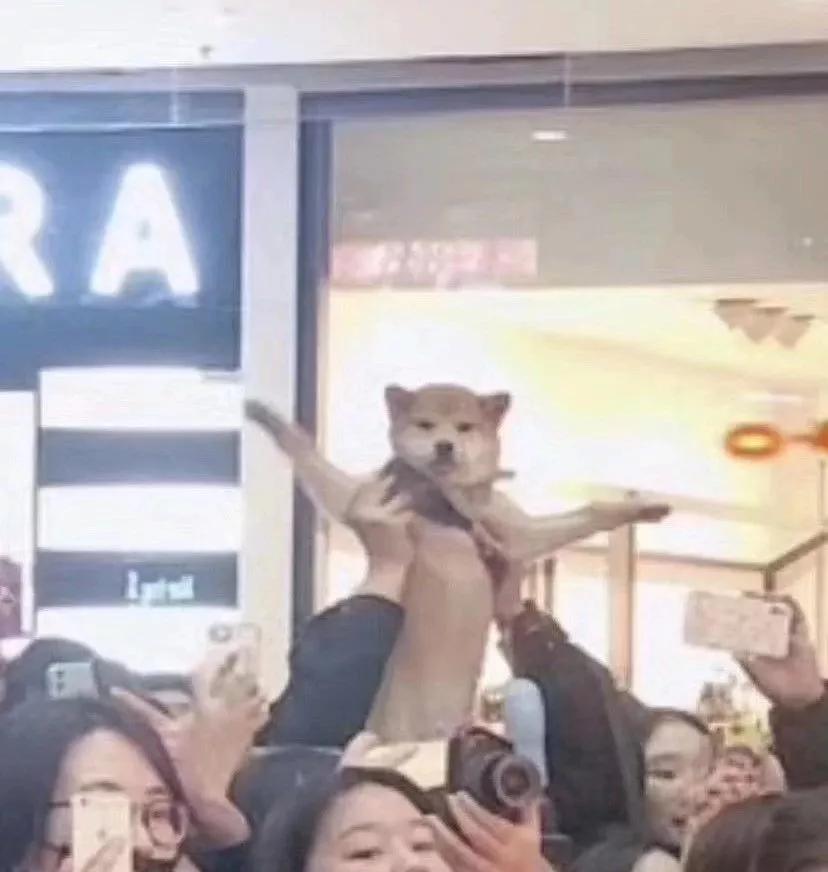 明星大撞脸你看哪个最像,明星撞脸对比