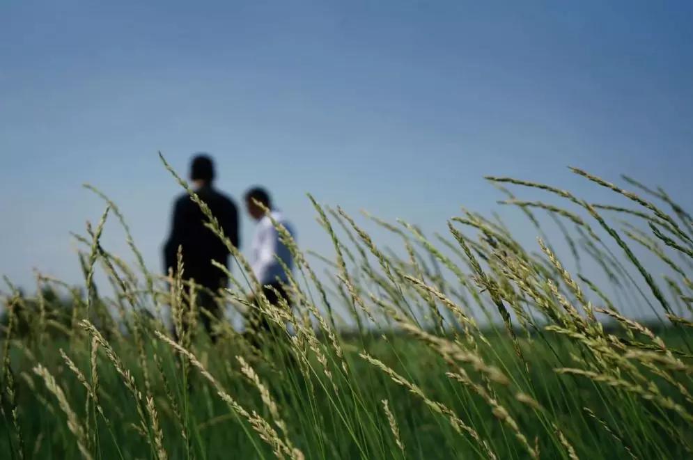 重新认识价值,重新认识东北完整版