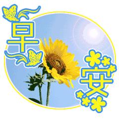 带清晨寄语的早上好表情包,微信表情包早上问好特别暖