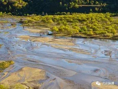 北京国家森林公园风景,画说北京故事
