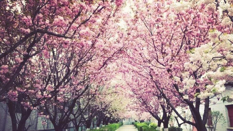 陇南的特色酒,陇南酒厂的酒系列