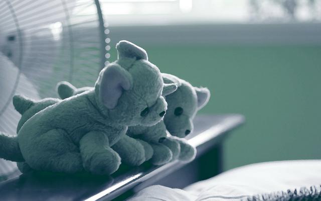 长得漂亮有内涵的星座女,修养内涵最好的星座女