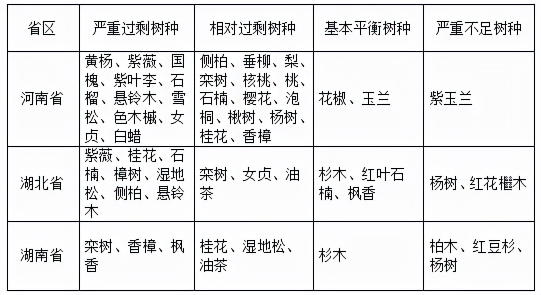 2022年秋季全国各地苗木市场行情,2021年春季苗木行情分析报告