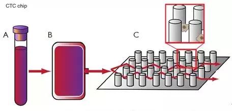 循环肿瘤细胞捕获方法的研究进展,扩增型循环肿瘤细胞检测数值高