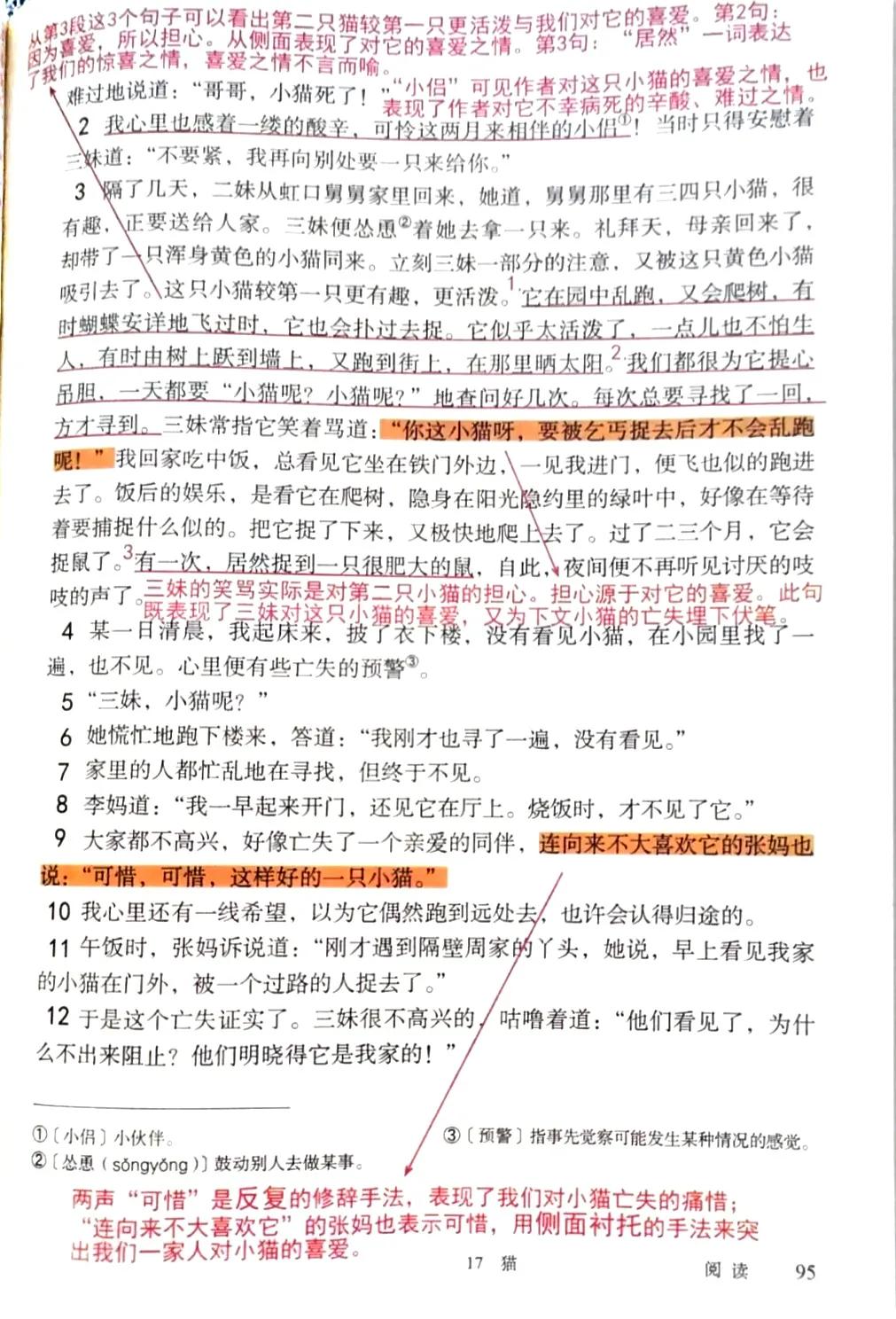 语文预习猫七年级上册,七年级上册猫课前预习