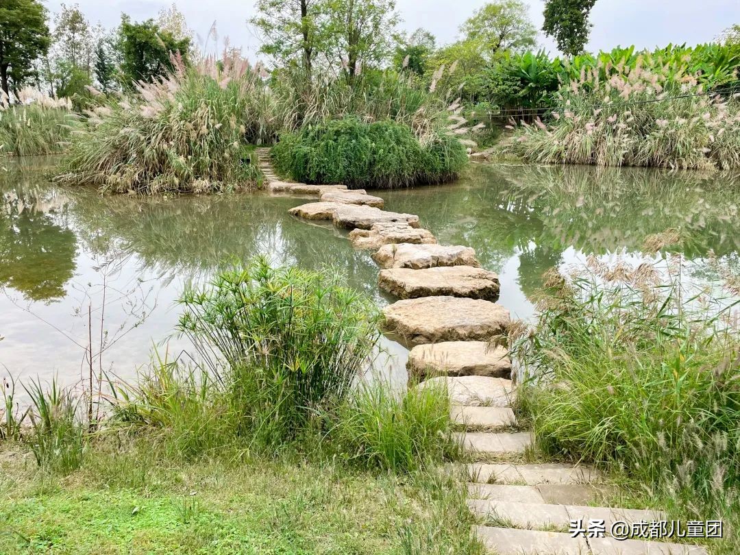 无滤镜公园随拍,无需加滤镜的公园