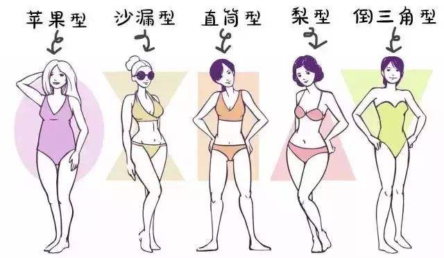 苹果型身材的肚子,苹果型身材肚子鼓鼓的