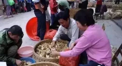 罗定农村人山人海,罗定人山人海