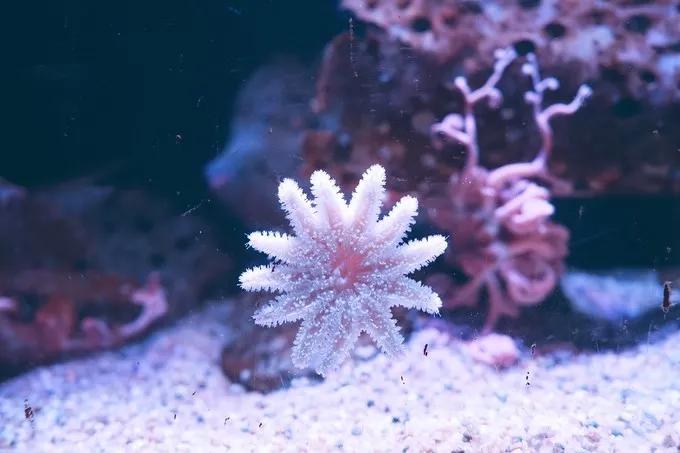 不一样的大阪三日游,瑠璃一束光,值得一来再来