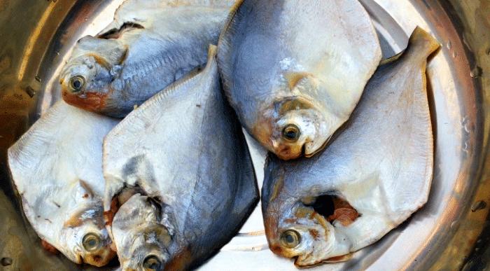 鲳鱼的最佳吃法红烧,清蒸鲳鱼的做法最正宗的做法