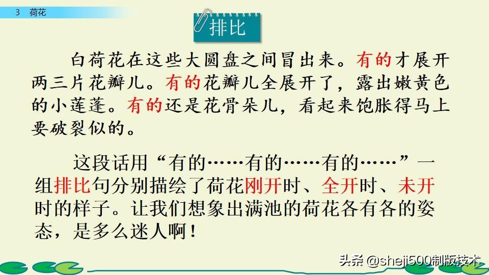 部编版三年级下册语文3荷花讲解,三年级下册部编语文荷花教学视频
