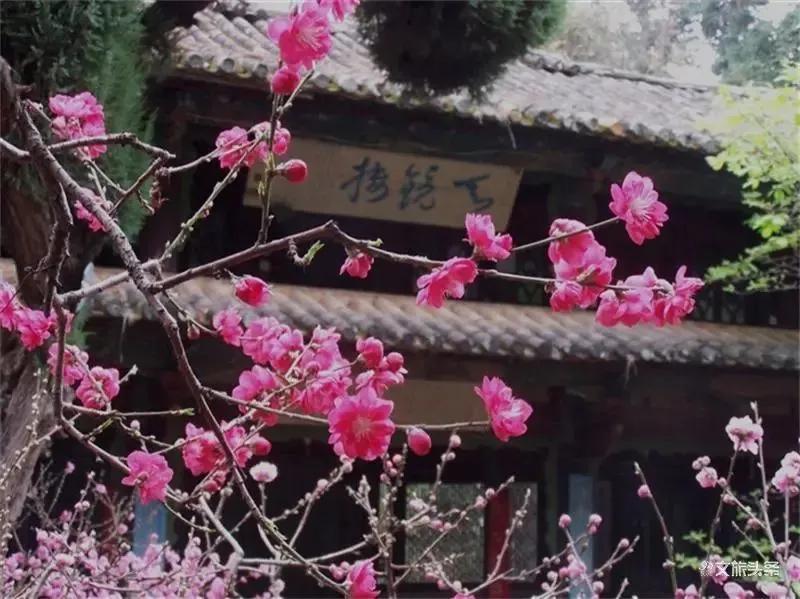 阳春三月踏青吟,阳春三月诗和风景