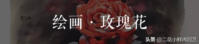 100种花卉绘画,100多张花卉线描手稿素材赶快收藏