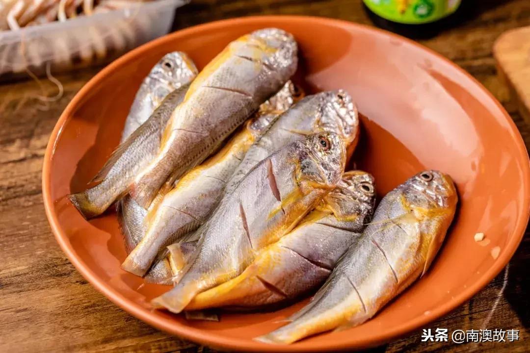 南澳岛渔民捕捞视频,南澳岛渔船捕捞