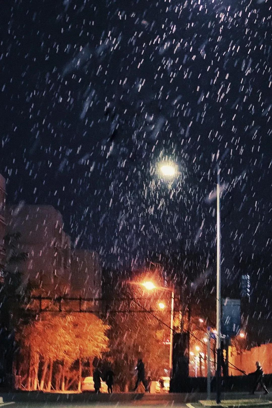 辽宁省高校(三十二)大连外国语大学