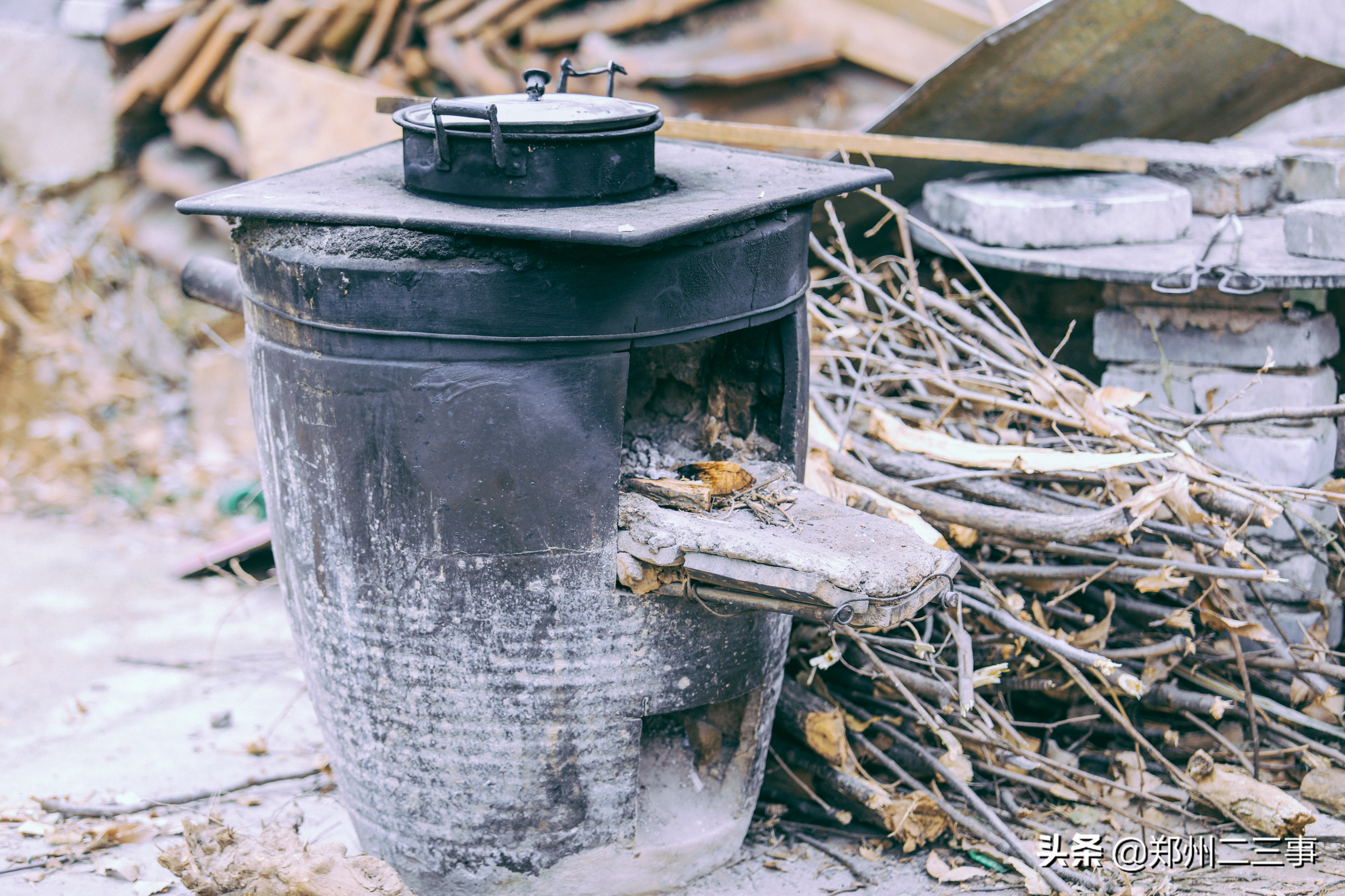 郑州惠济区免费遛娃好去处植物园,郑州遛娃踏青好去处