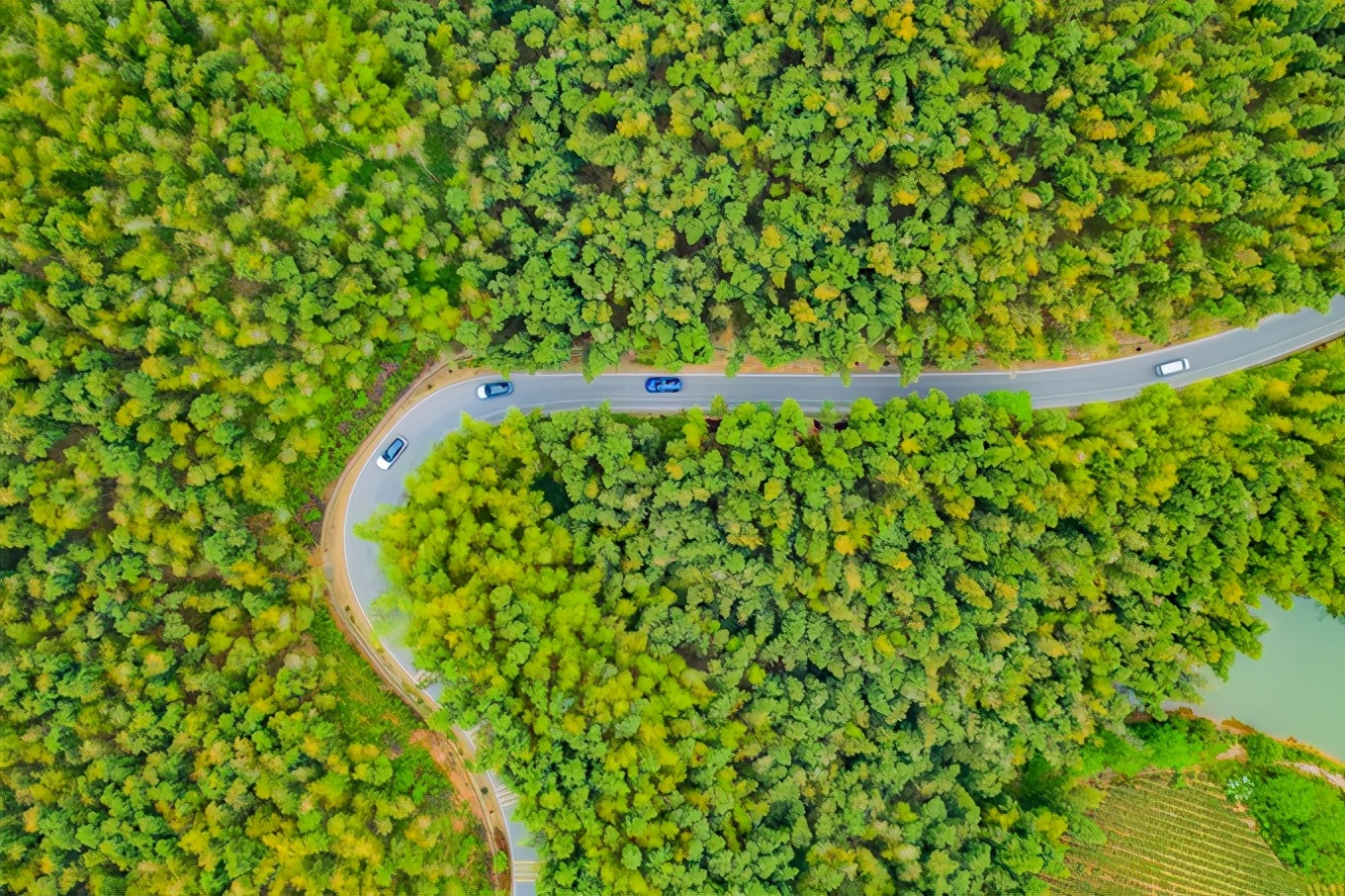 广德自驾游最佳的地方有哪些,自驾从广德到上海的最佳方案