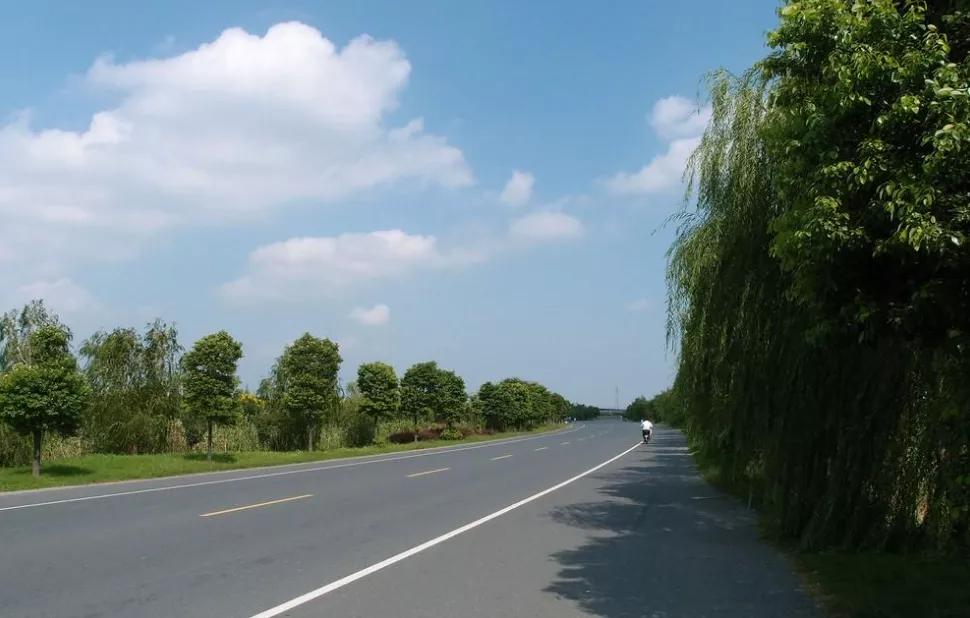 乡村振兴示范村的申报流程,乡村振兴全流程指南