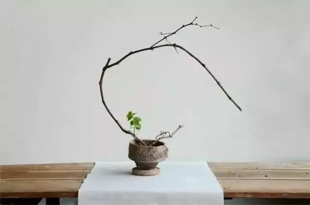 日本顶尖的花道,日本三道茶道书道花道