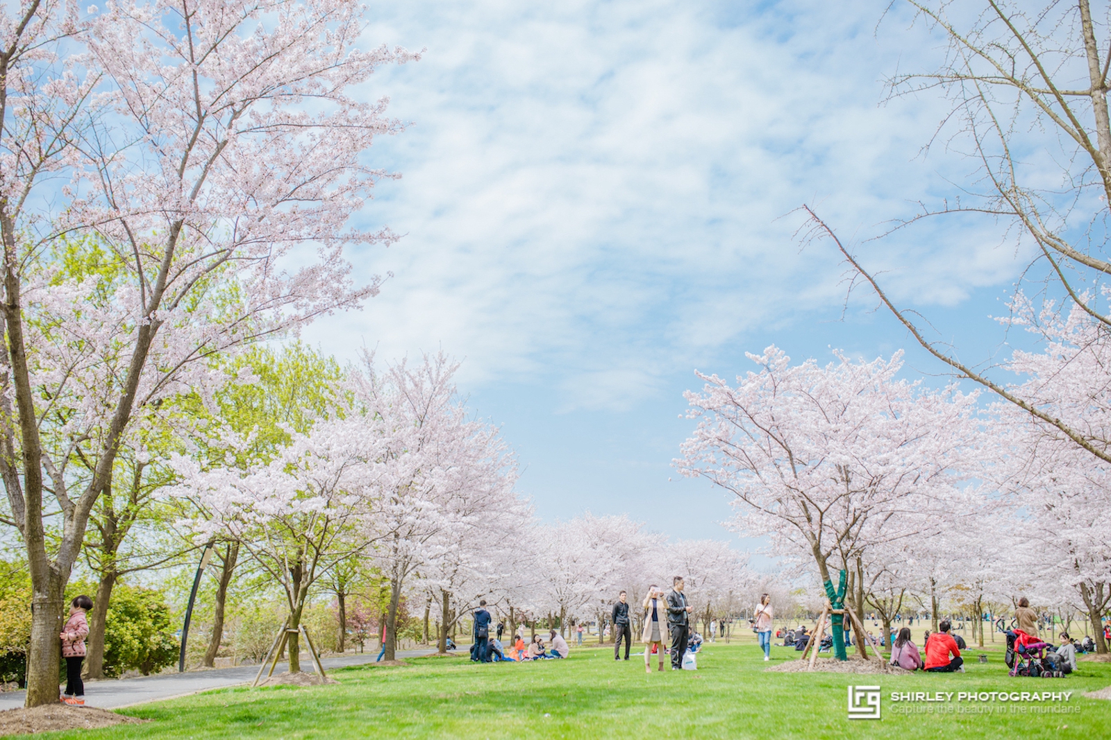 上海亲子旅游攻略迪士尼,上海迪士尼旅游推荐带孩子