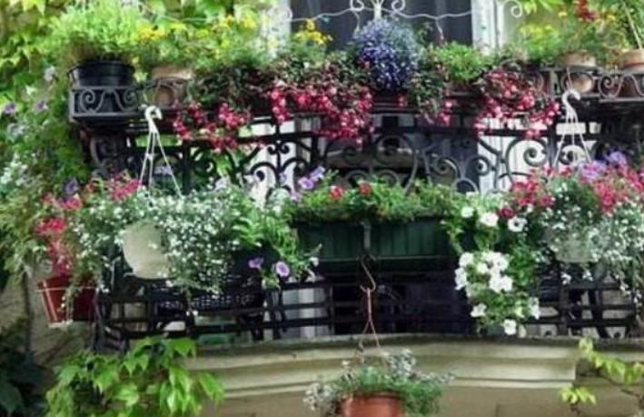 阳台小怎样利用空间种花,阳台空间小怎么养多肉