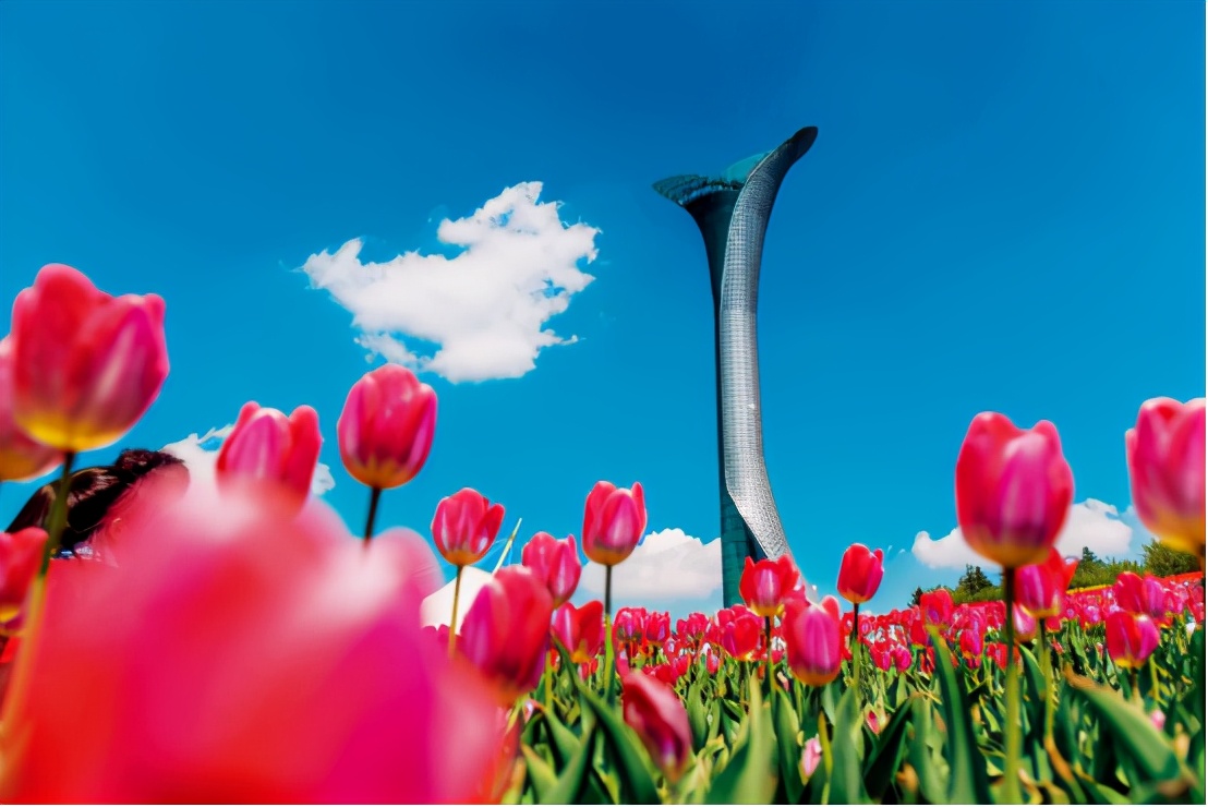 沈阳春暖花开,春暖花开沈阳自由行攻略