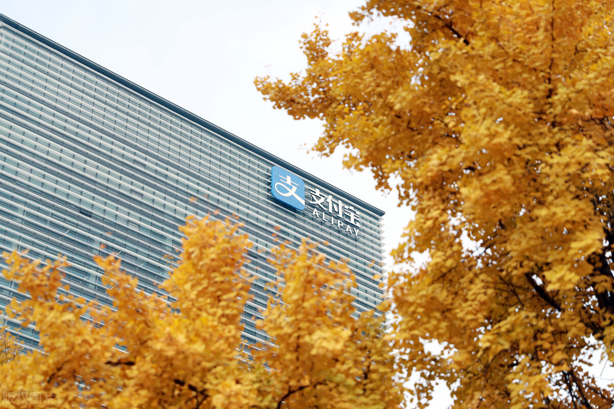 支付宝稳健理财基金出现连续亏损,买支付宝稳健理财会不会出现亏损