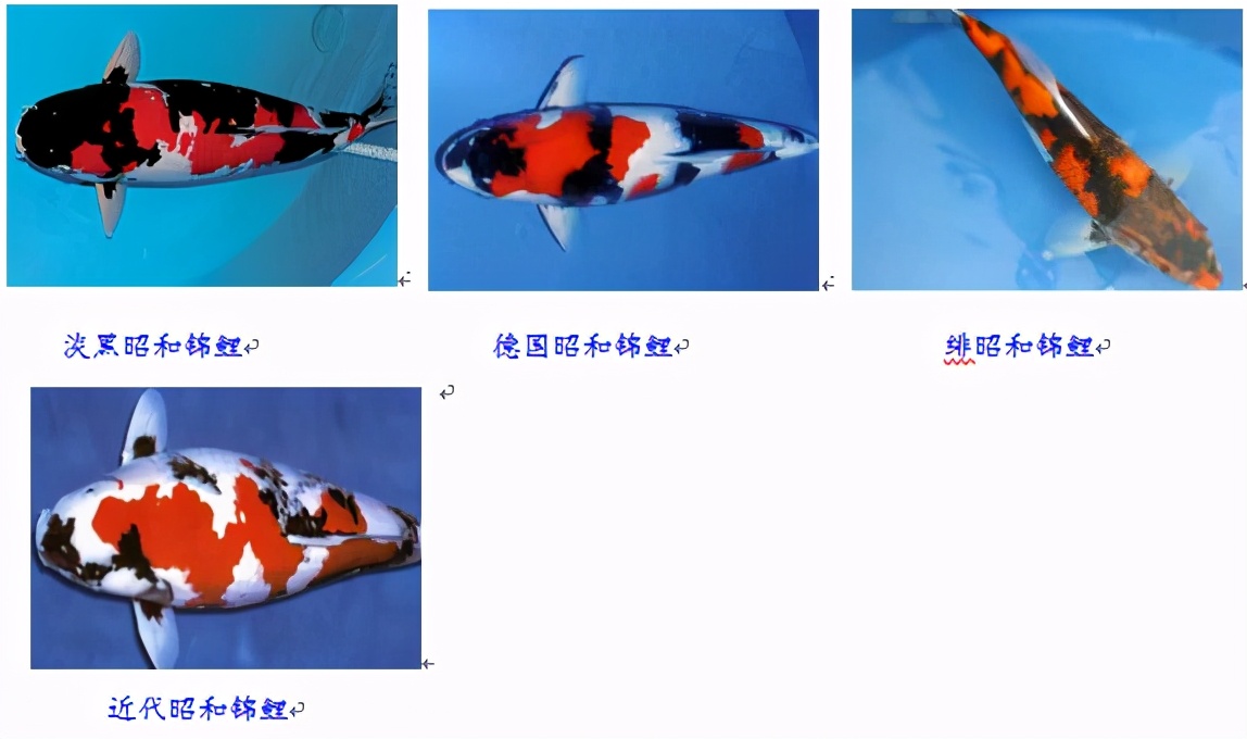 锦鲤鱼趴缸怎么解决,锦鲤鱼鳞溃烂最简单的解决办法