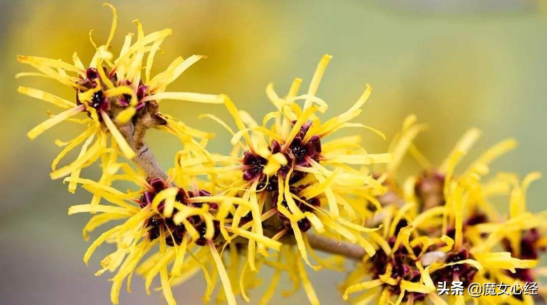 护肤品中的补水保湿成分,修护类护肤品适合哪些肤质