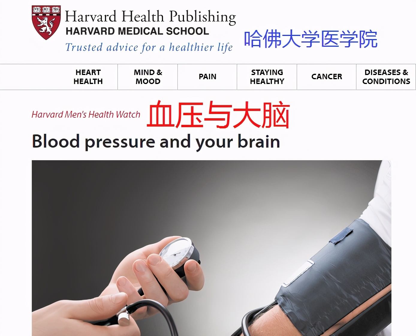 高血压心脏病有什么症状表现,肾性高血压的症状表现有哪些