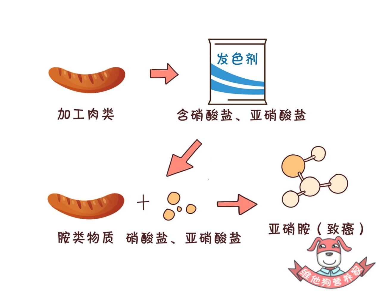 抵挡不了吃的诱惑,烤串撸串攻略