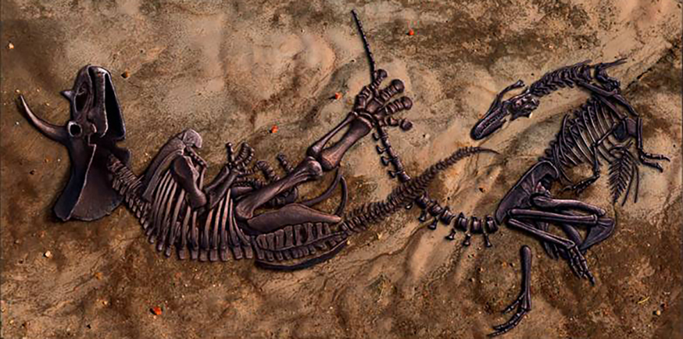 恐龙蛋事件,恐龙蛋孵化的最大恐龙能长多大