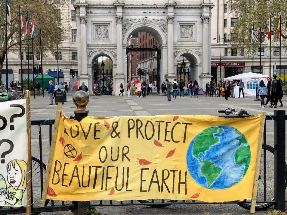 猫屎咖啡加盟费多少钱,猫屎咖啡到底好不好