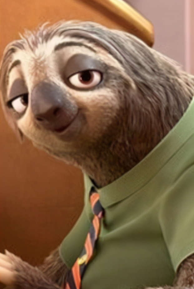 生活在宠物天堂的动物,在天堂的猫狗