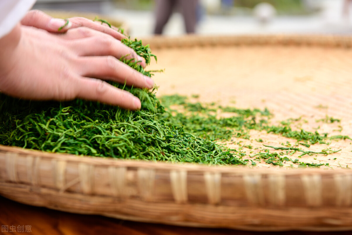 凤凰单丛茶制茶六大工艺,压饼茶加工工艺