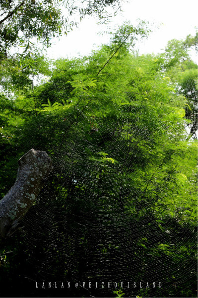 北海旅游攻略三天需要多少钱,北海旅游攻略自由行民宿推荐一下