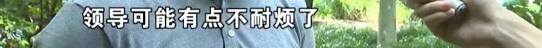 小伙被公司开除刚走公司就崩溃,小伙被公司劝退