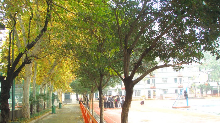 郑州民办高中学校最近排名,郑州市民办高中排名一览表