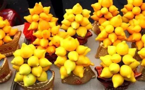 十种常见的秋季观果植物,夏季观果植物怎么养护