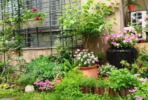 室内养花种菜工具箱,用泡沫箱可以做厨余垃圾堆肥水吗