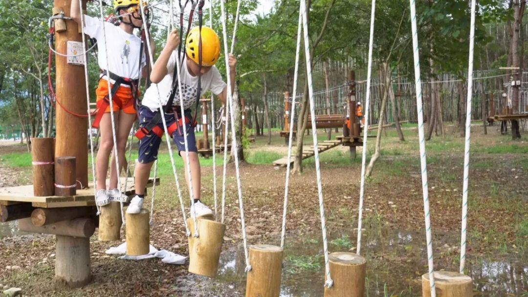 温州旅游景区一日游,温州海边旅游景区推荐