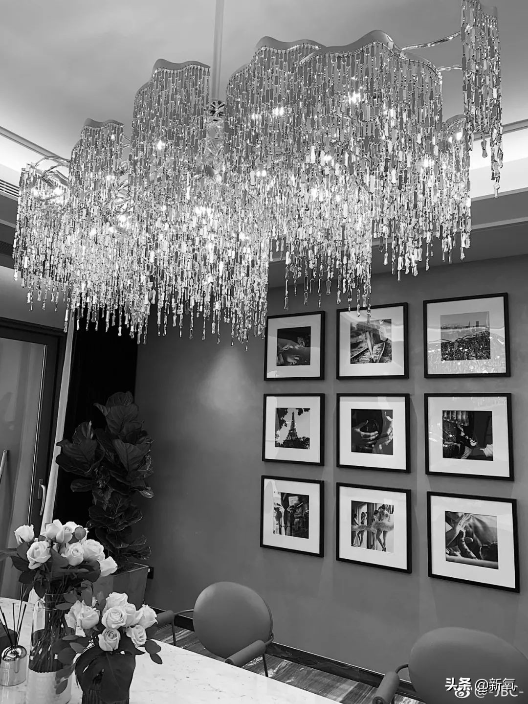 抄袭正牌总裁夫人的MiuMiu，张大奕最新暗戳戳挑衅的文案也太够了