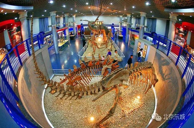 北京东城区是不是最好的,北京东城区算郊区吗