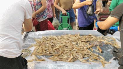 带你逛北京最大早市,北京正宗早市推荐