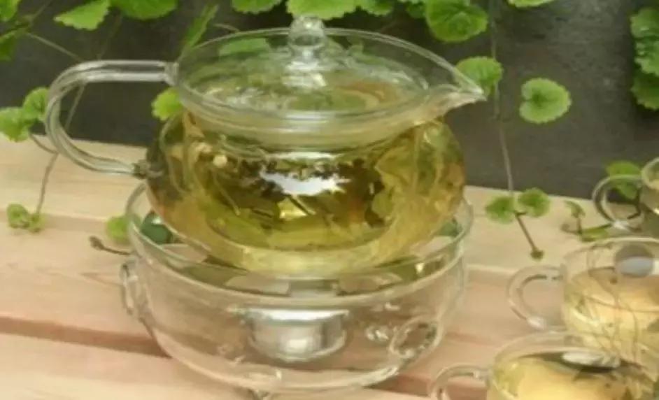 每天喝罗布麻可以吗,每天喝罗布麻茶